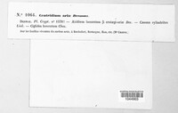 Image Associated With the Occurence